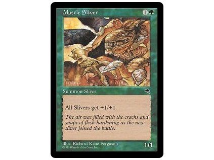 Muscle Sliver