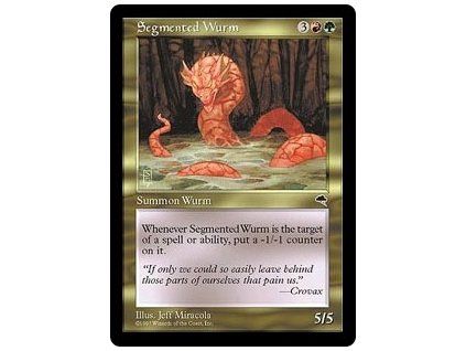 Segmented Wurm