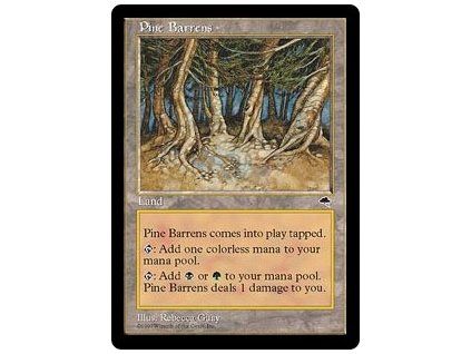 Pine Barrens