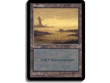 Swamp