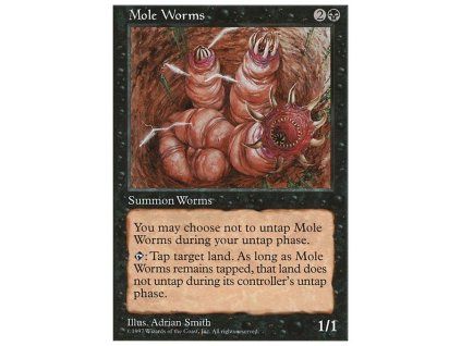 Mole Worms