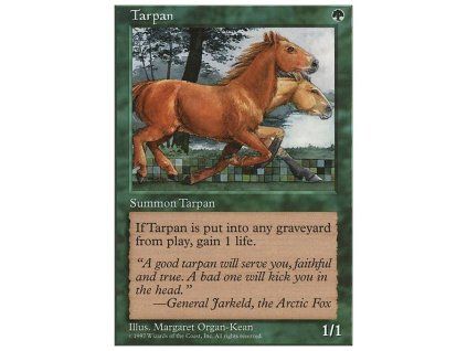 Tarpan