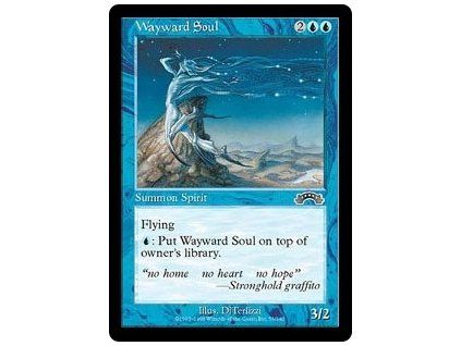 Wayward Soul