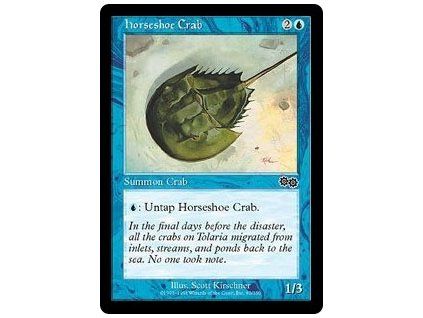 Horseshoe Crab