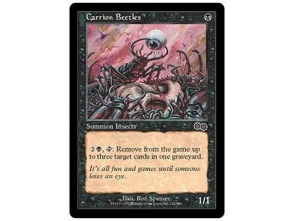 Carrion Beetles
