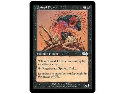 Spined Fluke