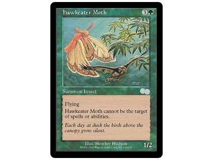 Hawkeater Moth