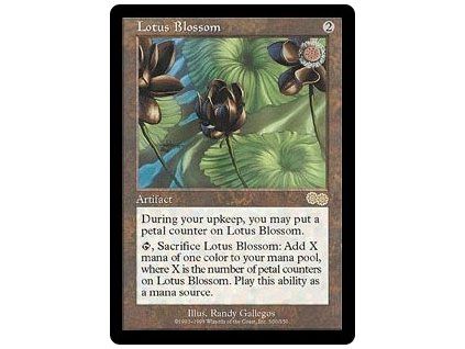 Lotus Blossom