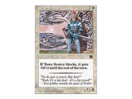 Town Sentry