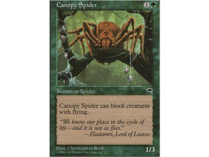Canopy Spider