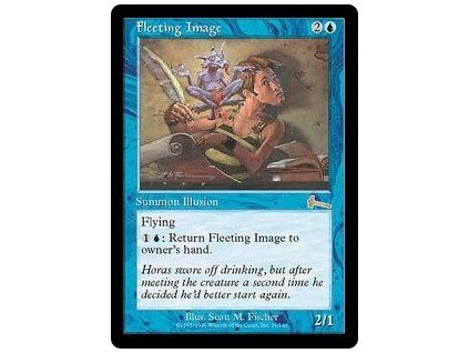 Fleeting Image