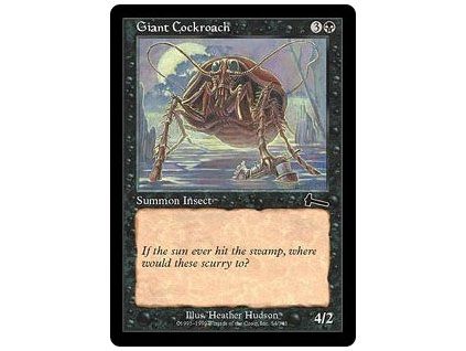 Giant Cockroach