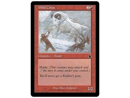 Wild Colos