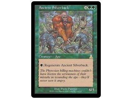 Ancient Silverback