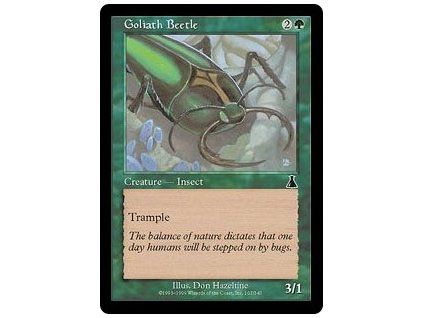 Goliath Beetle