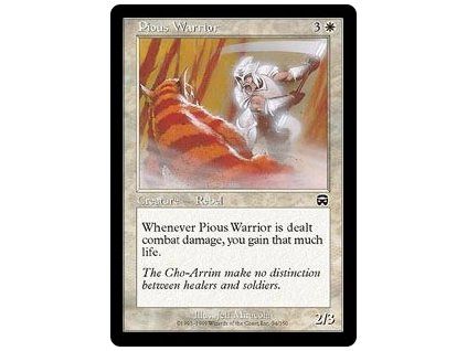 Pious Warrior