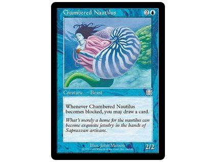 Chambered Nautilus