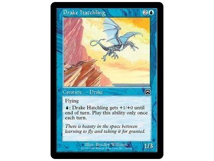 Drake Hatchling