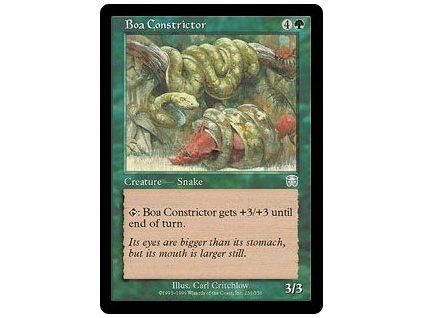 Boa Constrictor