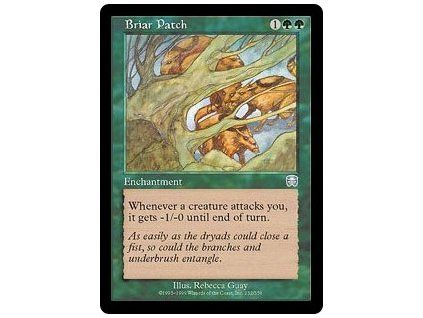 Briar Patch