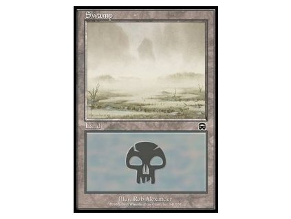 Swamp - FOIL (Foil ANO, Stav Near Mint)