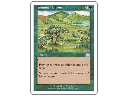 Summer Bloom