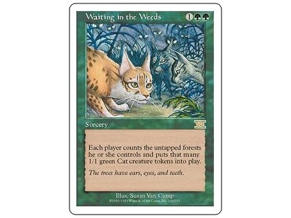 Waiting in the Weeds (Foil NE, Stav Near Mint)
