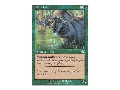 Wild Ox