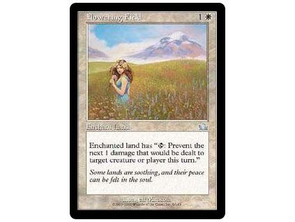 Flowering Field