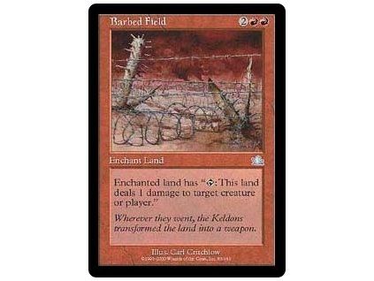 Barbed Field
