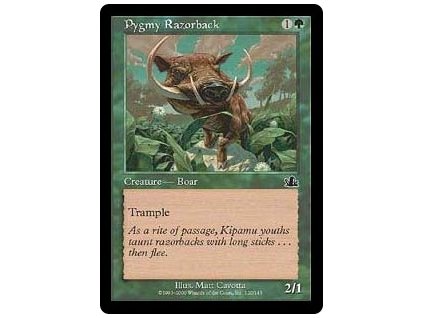 Pygmy Razorback (Foil NE, Stav Near Mint)