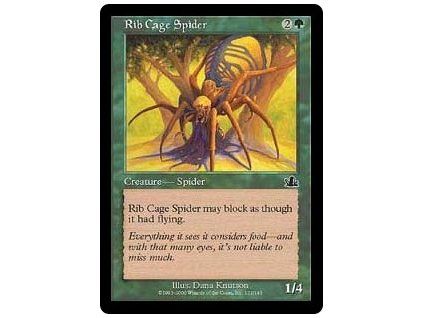 Rib Cage Spider