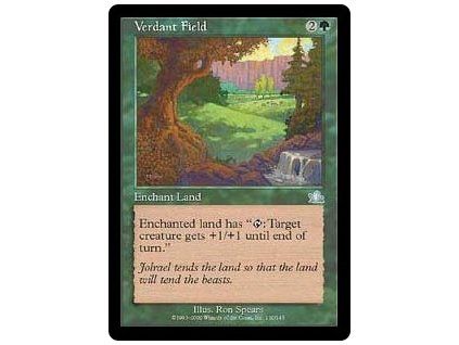 Verdant Field