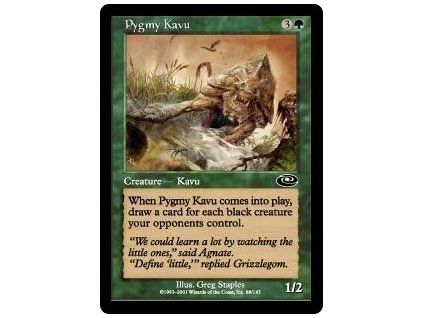 Pygmy Kavu
