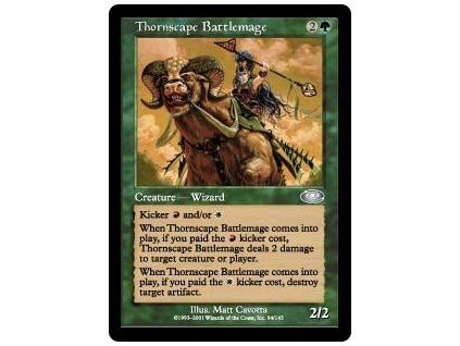Thornscape Battlemage