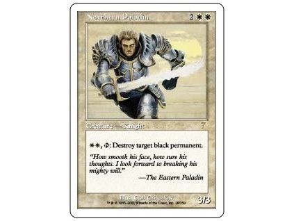 Northern Paladin