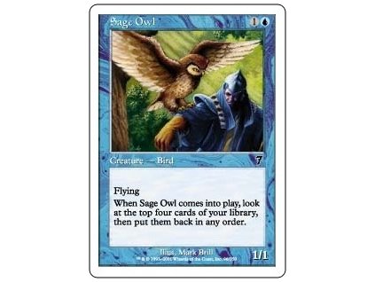 Sage Owl (Foil NE, Stav Near Mint)