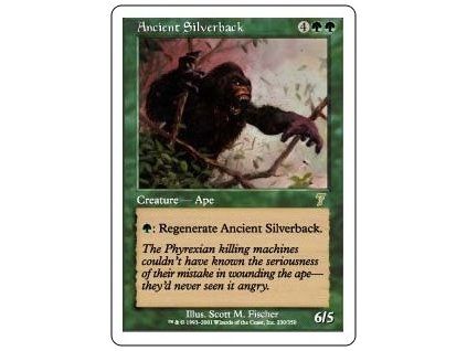 Ancient Silverback