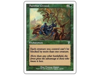 Familiar Ground (Foil NE, Stav Near Mint)