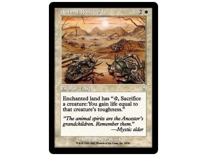 Animal Boneyard