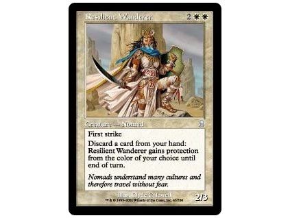 Resilient Wanderer