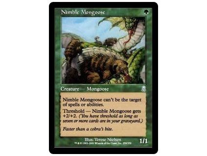 Nimble Mongoose