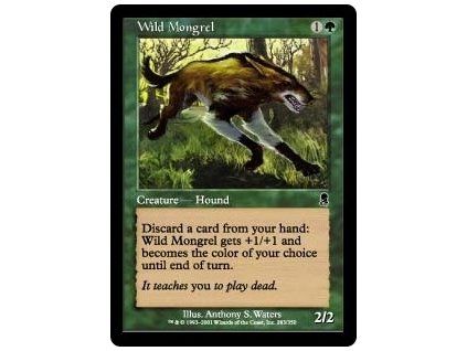 Wild Mongrel