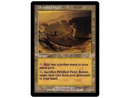 Petrified Field