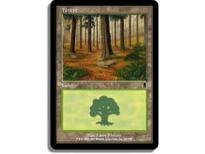 Forest