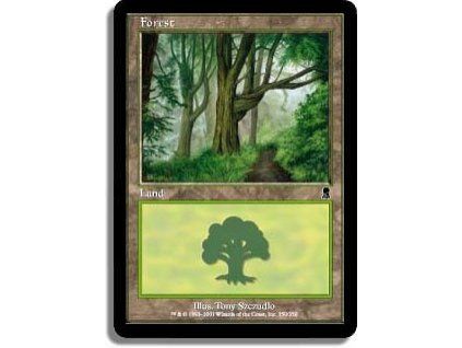 Forest