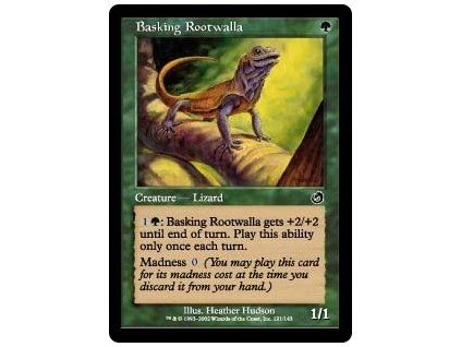 Basking Rootwalla
