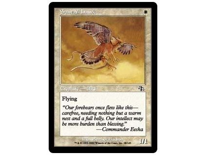 Suntail Hawk