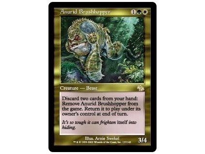 Anurid Brushhopper