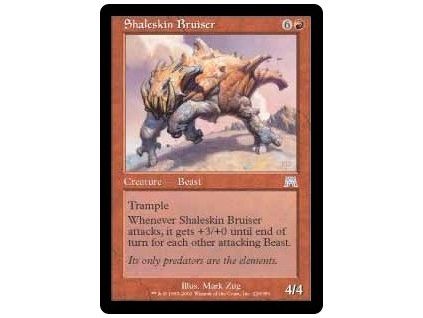 Shaleskin Bruiser